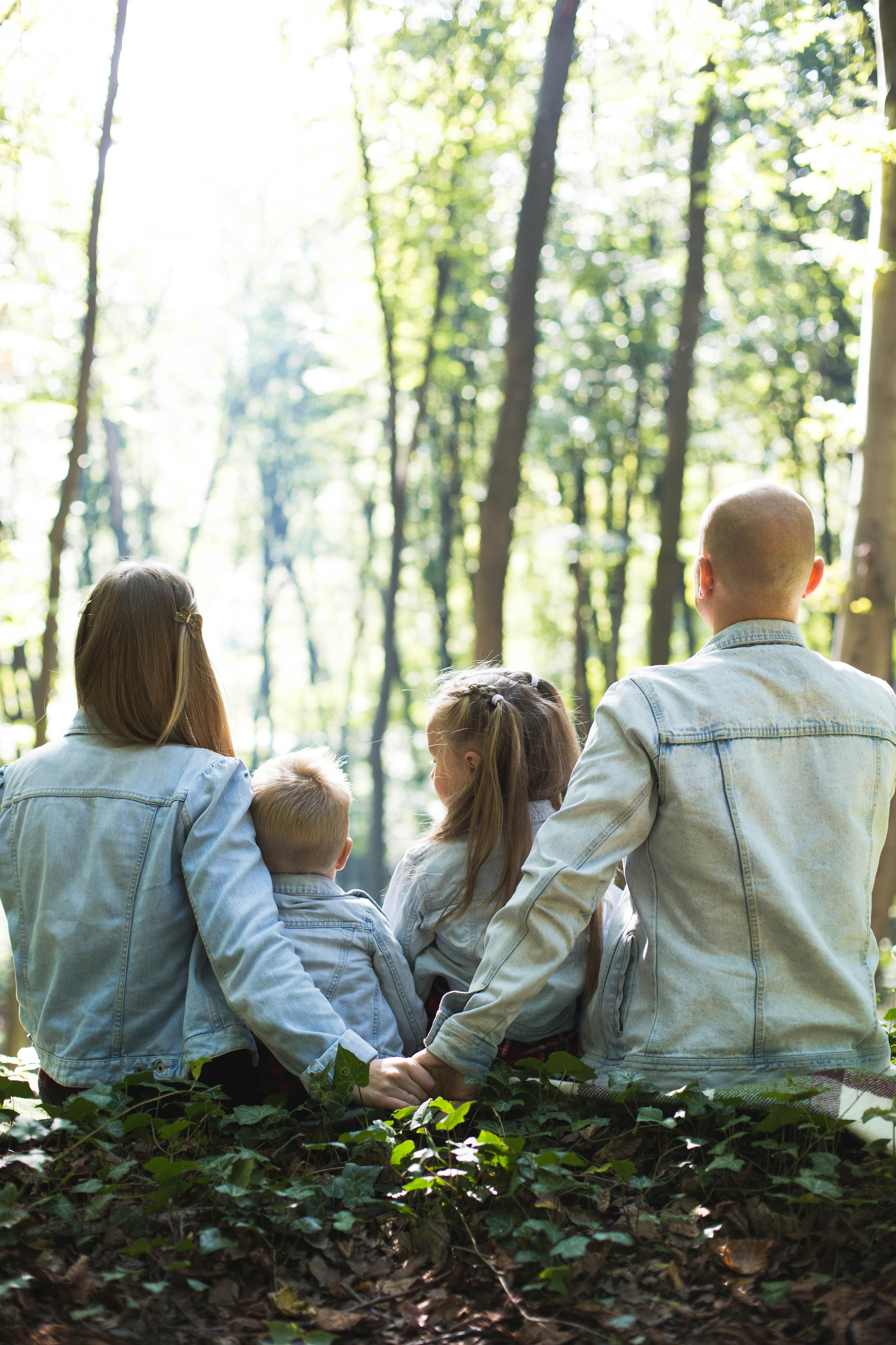Family Therapy